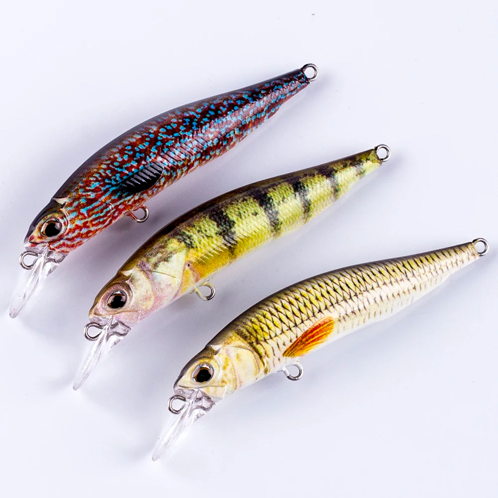 Sinking Minnow Fishing Lure